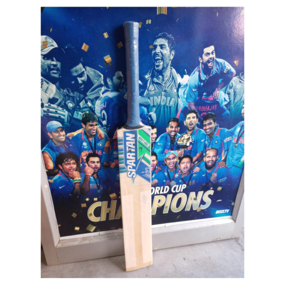 CEAT Kashmir Willow