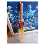 DSC Kashmir Willow