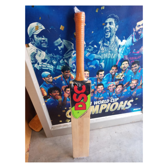 DSC Kashmir Willow