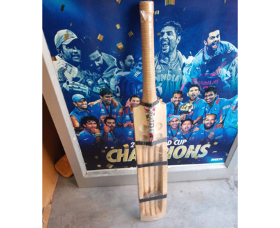 Hinex Kashmir Willow Scoop Bat