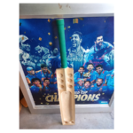 Scoop Bat Kashmir Willow Rubber Cane Handle