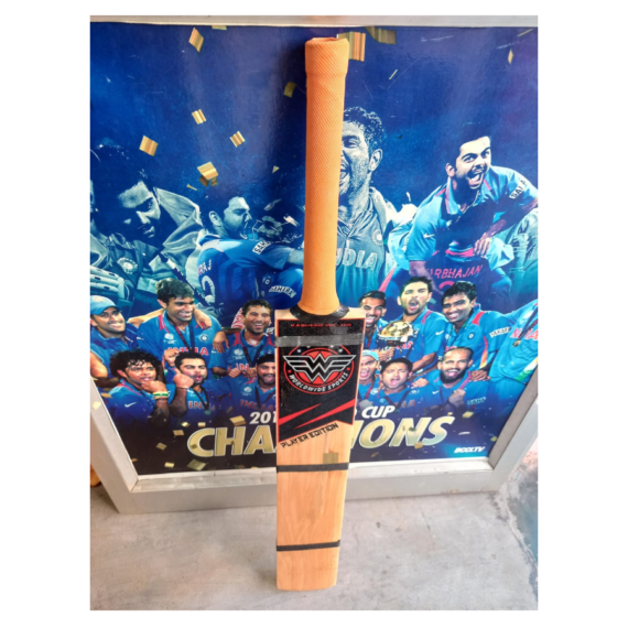 WW Kashmir Willow Scoop Bat - Image 3