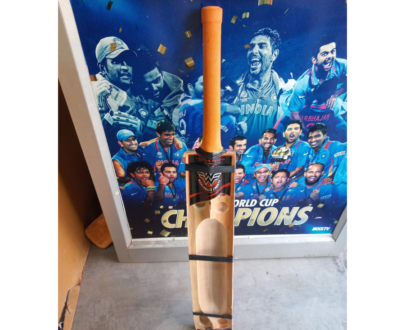 WW Kashmir Willow Scoop Bat