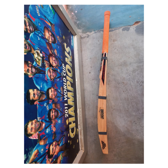 WW Kashmir Willow Scoop Bat - Image 2