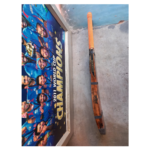 WW Kashmir Willow Scoop Bat Fired Wood - Image 3