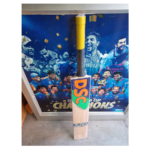 DSC Kashmir Willow Scoop Bat - Image 3