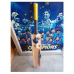 DSC Kashmir Willow Scoop Bat