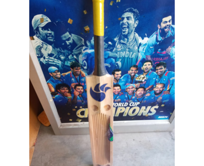 DSC Kashmir Willow Scoop Bat