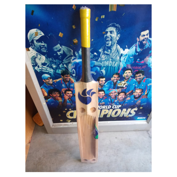 DSC Kashmir Willow Scoop Bat