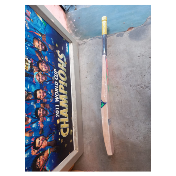 DSC Kashmir Willow Scoop Bat - Image 2